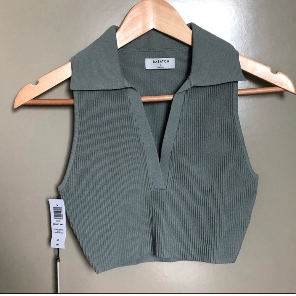 NWT Babaton collared sculpt knit top (sold out colour!!)